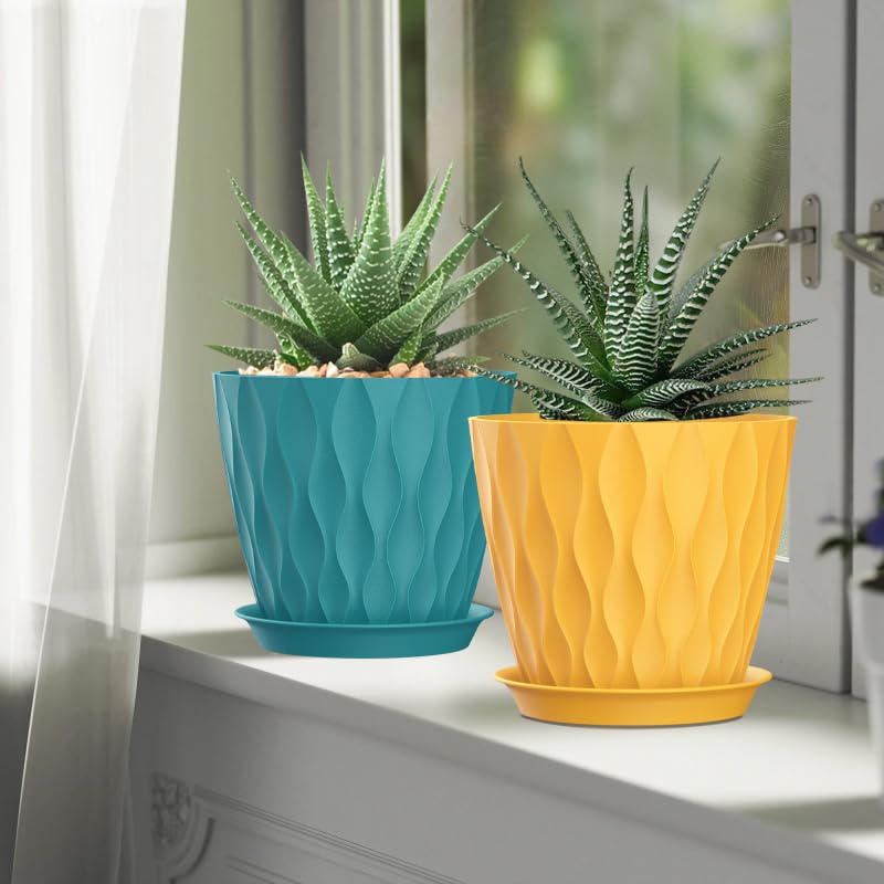 SQKH ideal for indoor and outdoor plants, from herbs to succulents.
