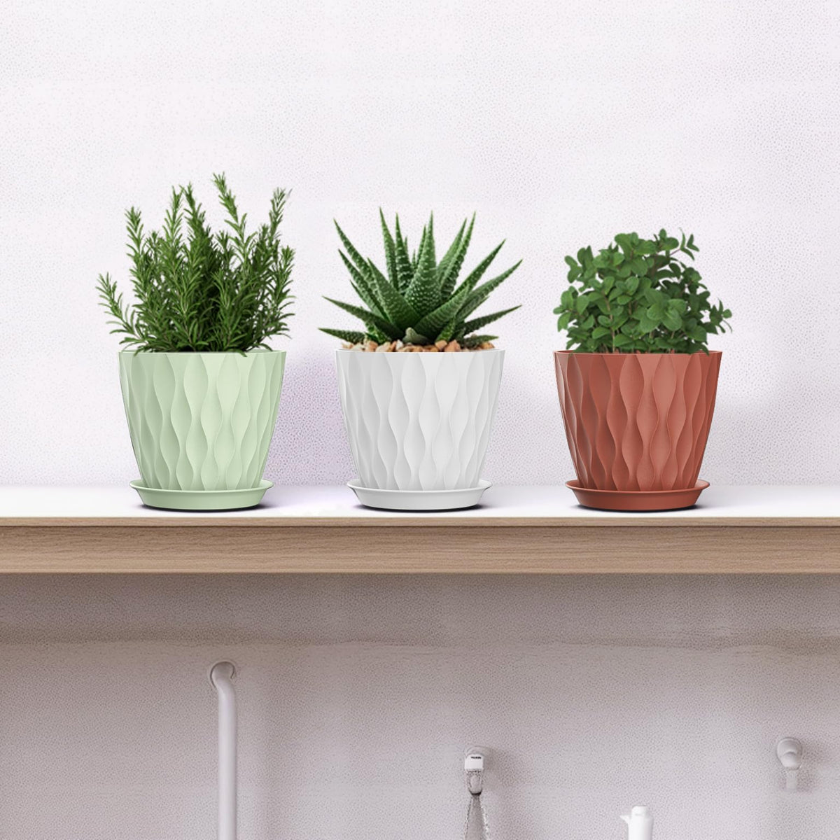 SQKH indoor plant pot decor elevates home aesthetics while hosting herbs and flowers.
