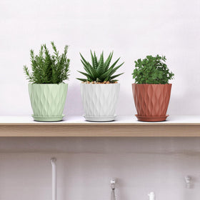 SQKH indoor plant pot decor elevates home aesthetics while hosting herbs and flowers.