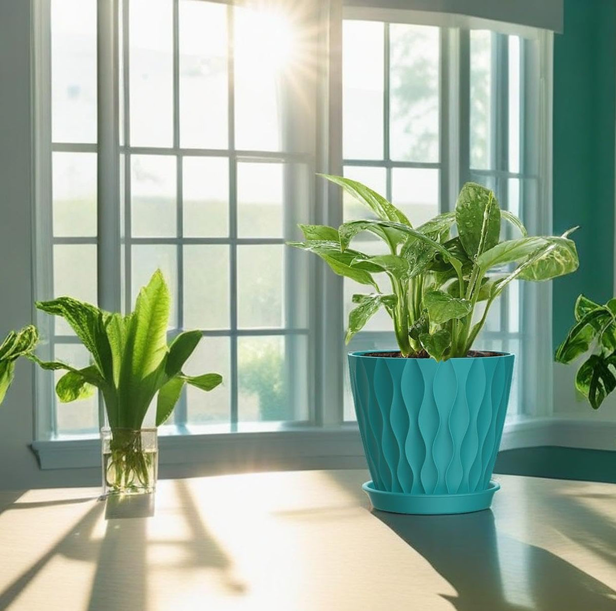 SQKH sturdy polypropylene pots resist sun and aging, ideal for long-lasting indoor use.