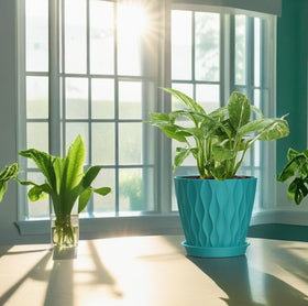 SQKH sturdy polypropylene pots resist sun and aging, ideal for long-lasting indoor use.