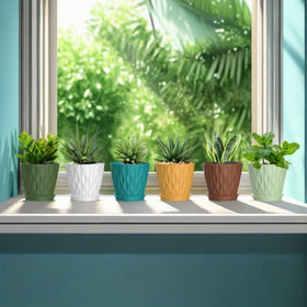 SQKH modern design planter adds a stylish contemporary touch to any room.