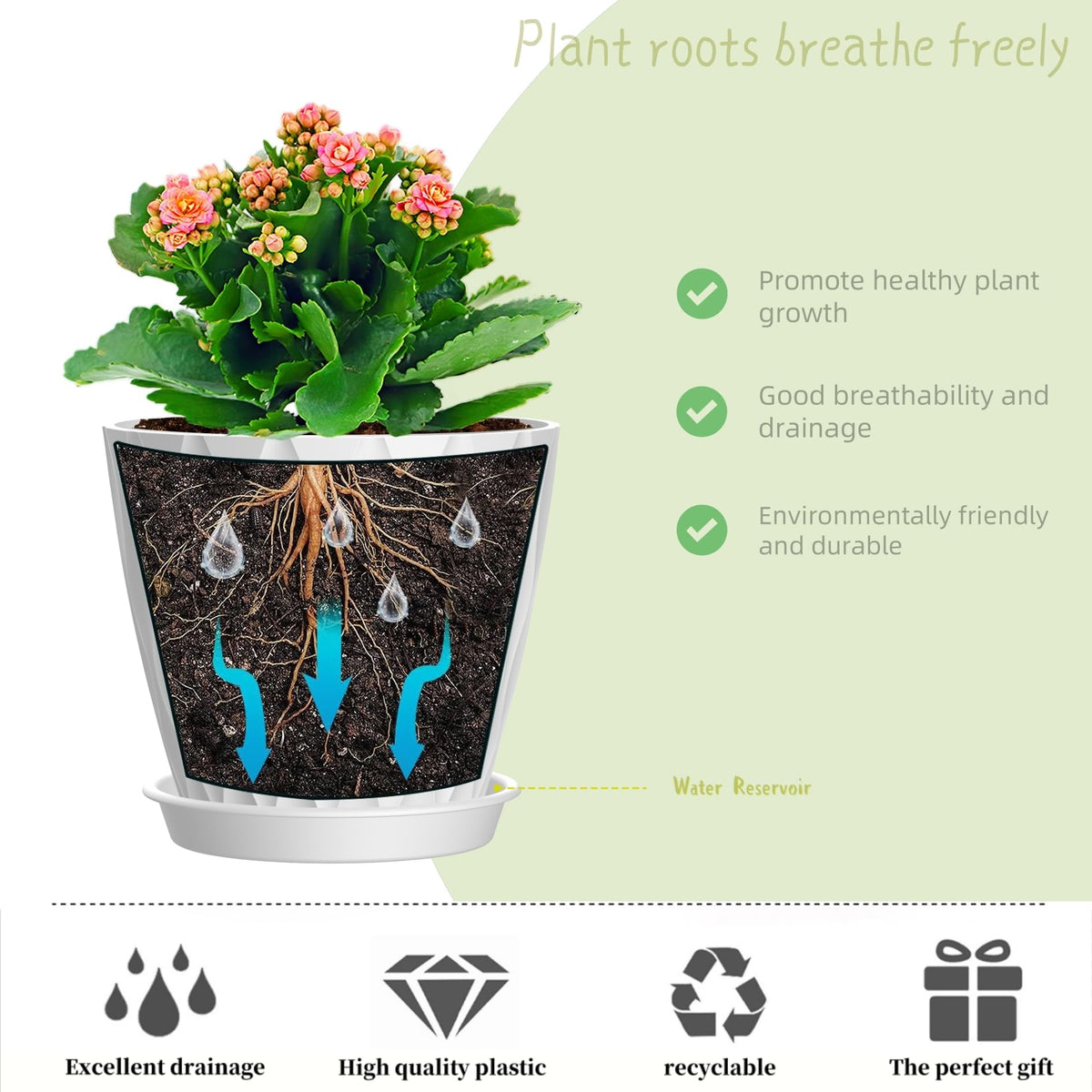 SQKH modern matte finish planters add contemporary style to any room.