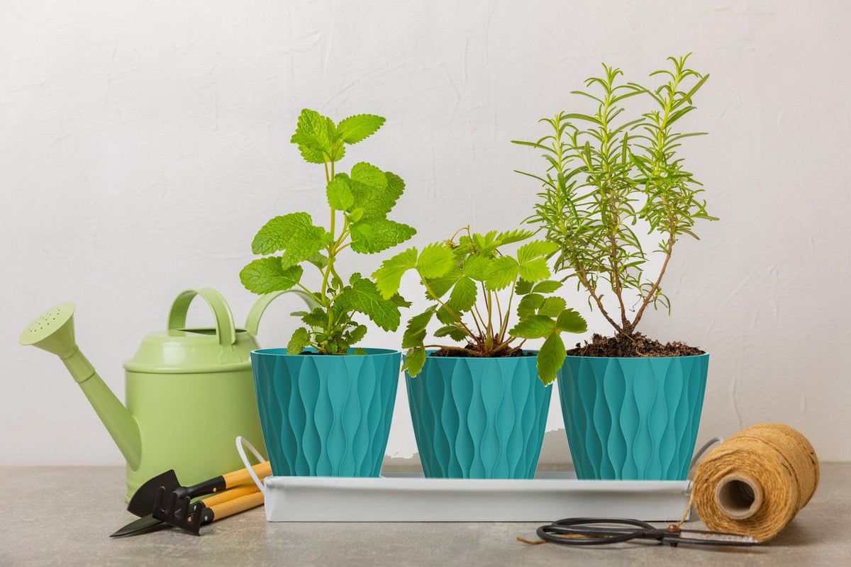 SQKH 4-inch pots suit herbs and small flowers, easy to clean with attached tray.