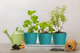 SQKH 4-inch pots suit herbs and small flowers, easy to clean with attached tray.