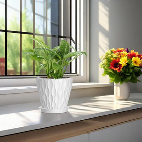 SQKH orchid and herb planter suitable for delicate, houseplants.