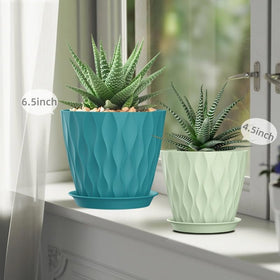 SQKH plant pot 4-inch with tray for compact plants.