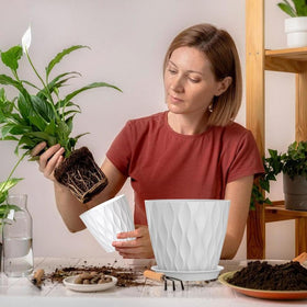 Durable polypropylene SQKH pots resist bending and withstand outdoor use.