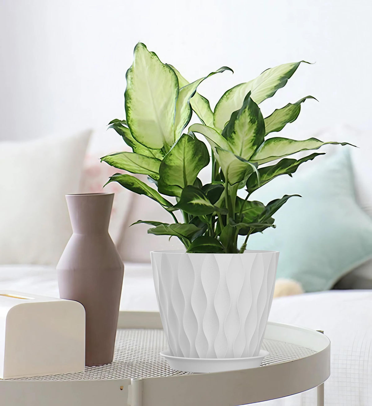 SQKH plant pots in multiple colors to match décor.