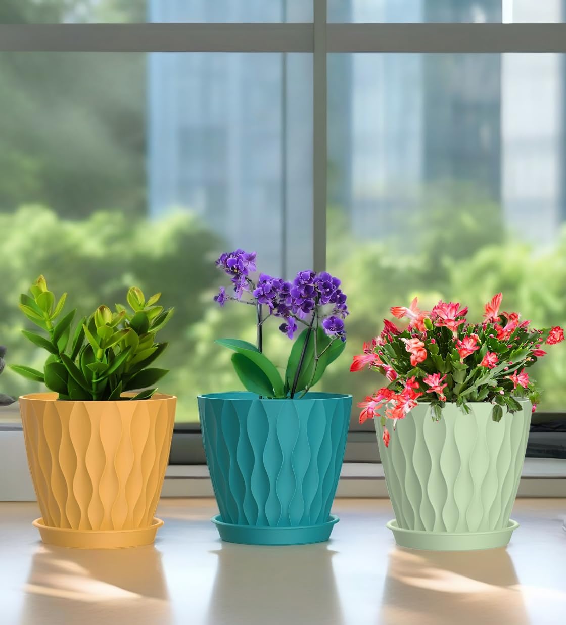 SQKH six-pack 4-inch pots for small spaces