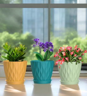 SQKH six-pack 4-inch pots for small spaces