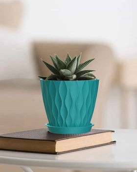 SQKH blue-green 4-inch pot duo set with drainage, perfect for beginners and seasoned plant lovers.