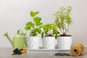 SQKH white indoor plant pots brighten windowsills and desks.