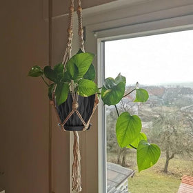 SQKH 5-inch planter on windowsill elevates small herbs or succulents
