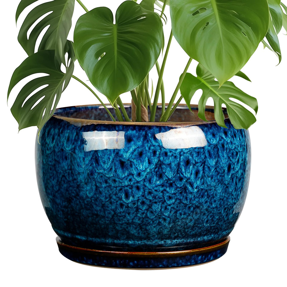 SQOWL 10-inch ceramic pot with drainage hole and saucer for easy care