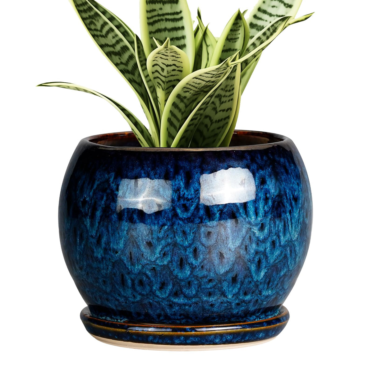 SQOWL 6 Inch Plant Pot with blue glaze and drainage hole for healthy indoor watering