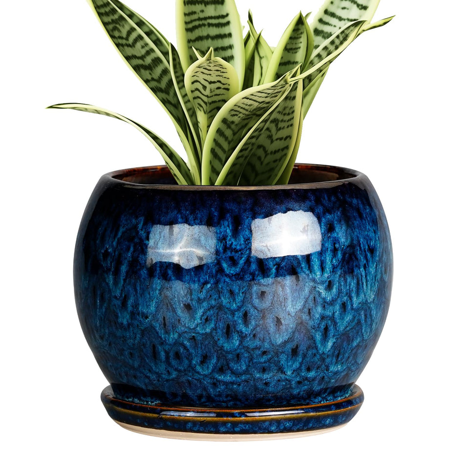 SQOWL 6 Inch Plant Pot with blue glaze and drainage hole for healthy indoor watering