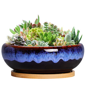 SQOWL 7in round ceramic planter with drip glaze, ideal for indoor succulents