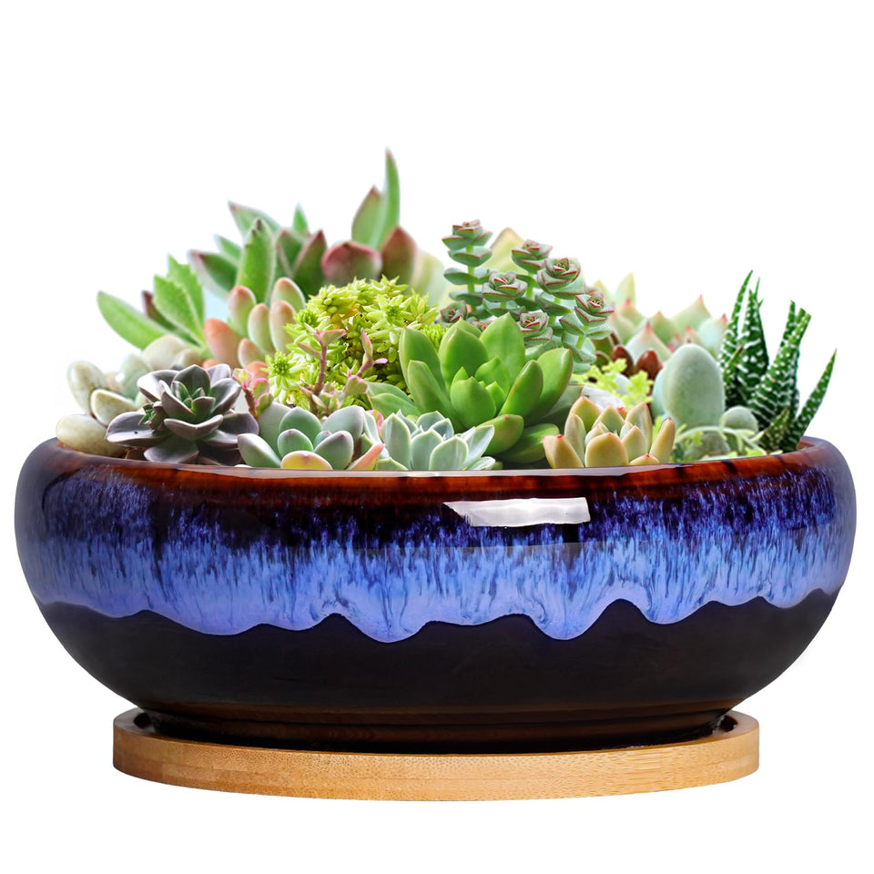 SQOWL 7in round ceramic planter with drip glaze, ideal for indoor succulents