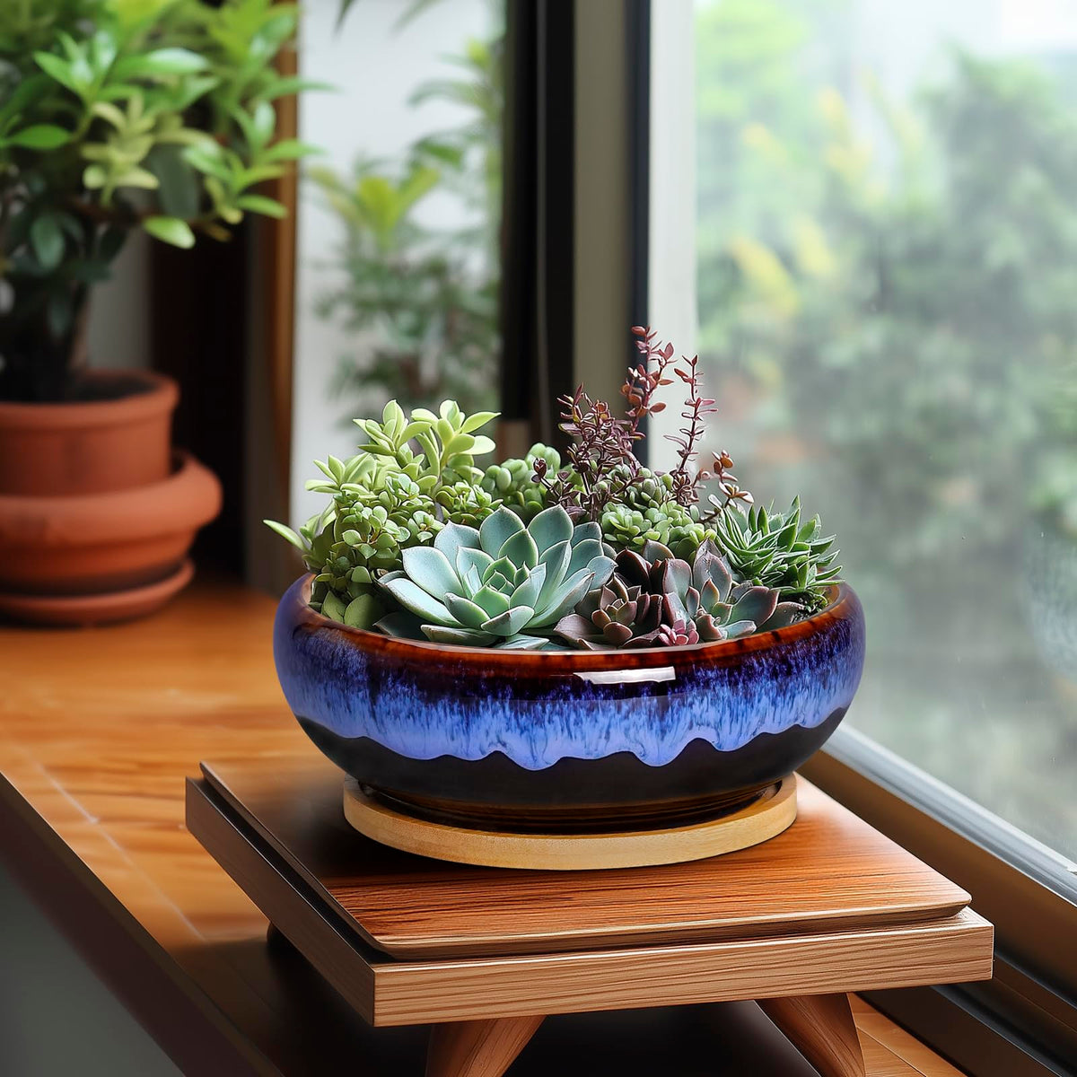 SQOWL bamboo tray eco-drainage image emphasizes water control and table protection