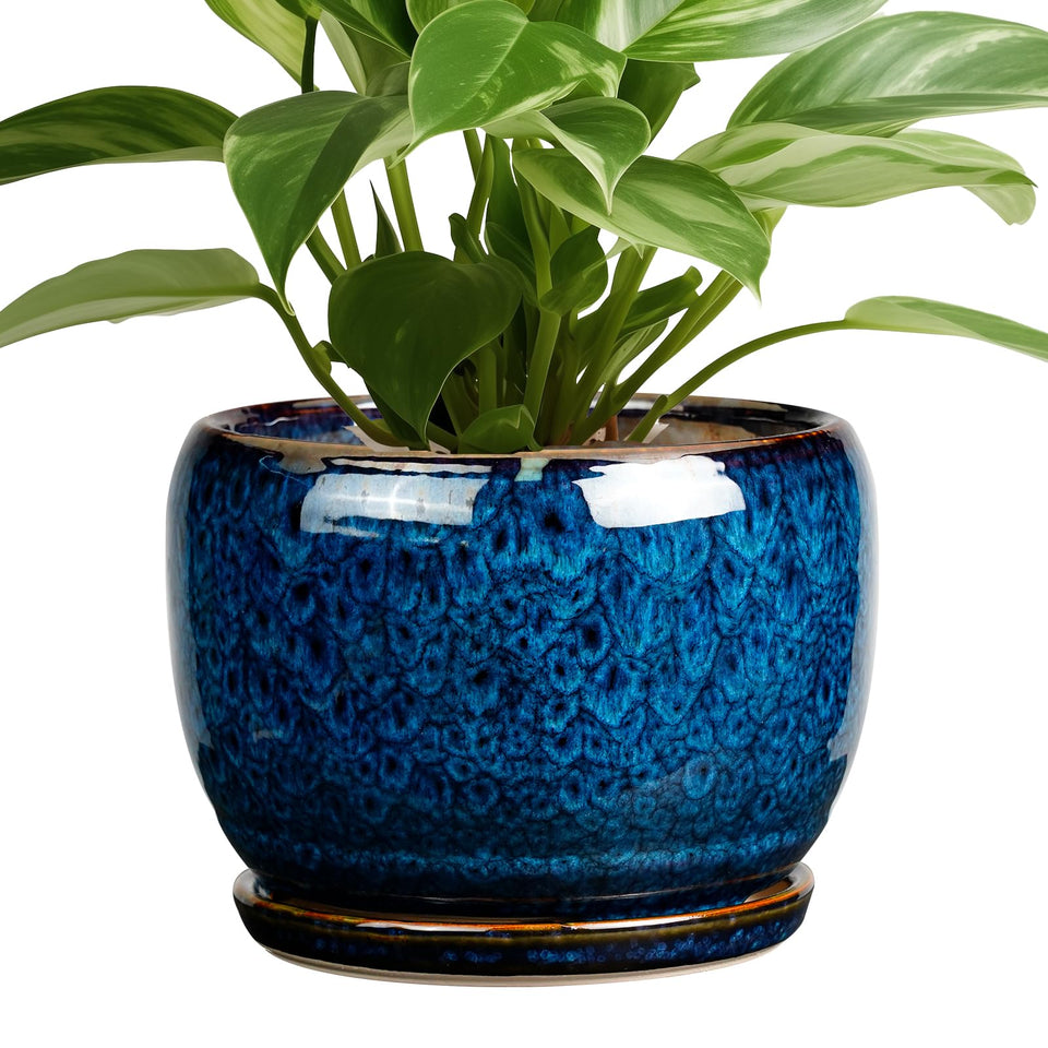 SQOWL ceramic planter 8-inch with glazed blue finish, ideal for stylish indoor decor.