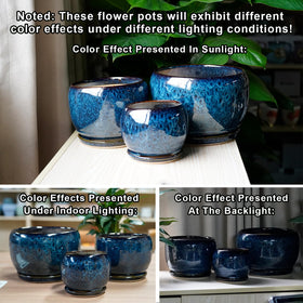 Versatile indoor-outdoor use makes it suitable for balconies or living rooms.