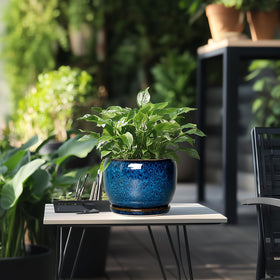 Ideal for succulents, bonsai, herbs and more for green styling.