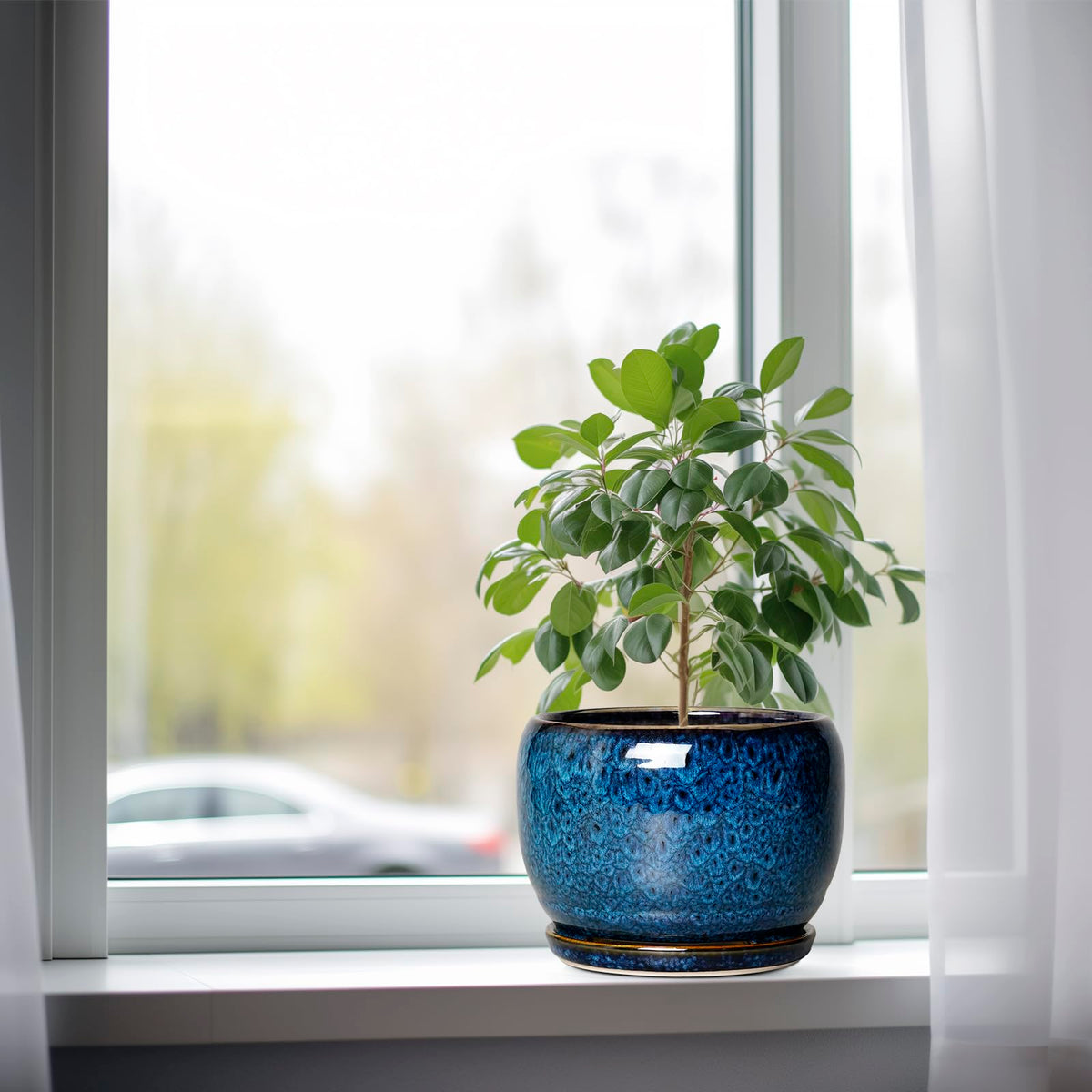 SQOWL 8-inch planter with smooth peacock blue glaze for a modern look.