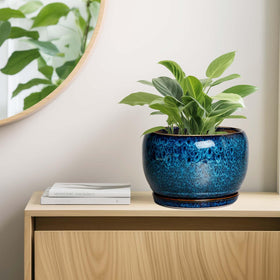 SQOWL 10 inch planter with drainage promotes healthy watering habits