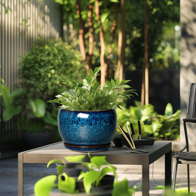 SQOWL large round blue planter suits balconies and offices
