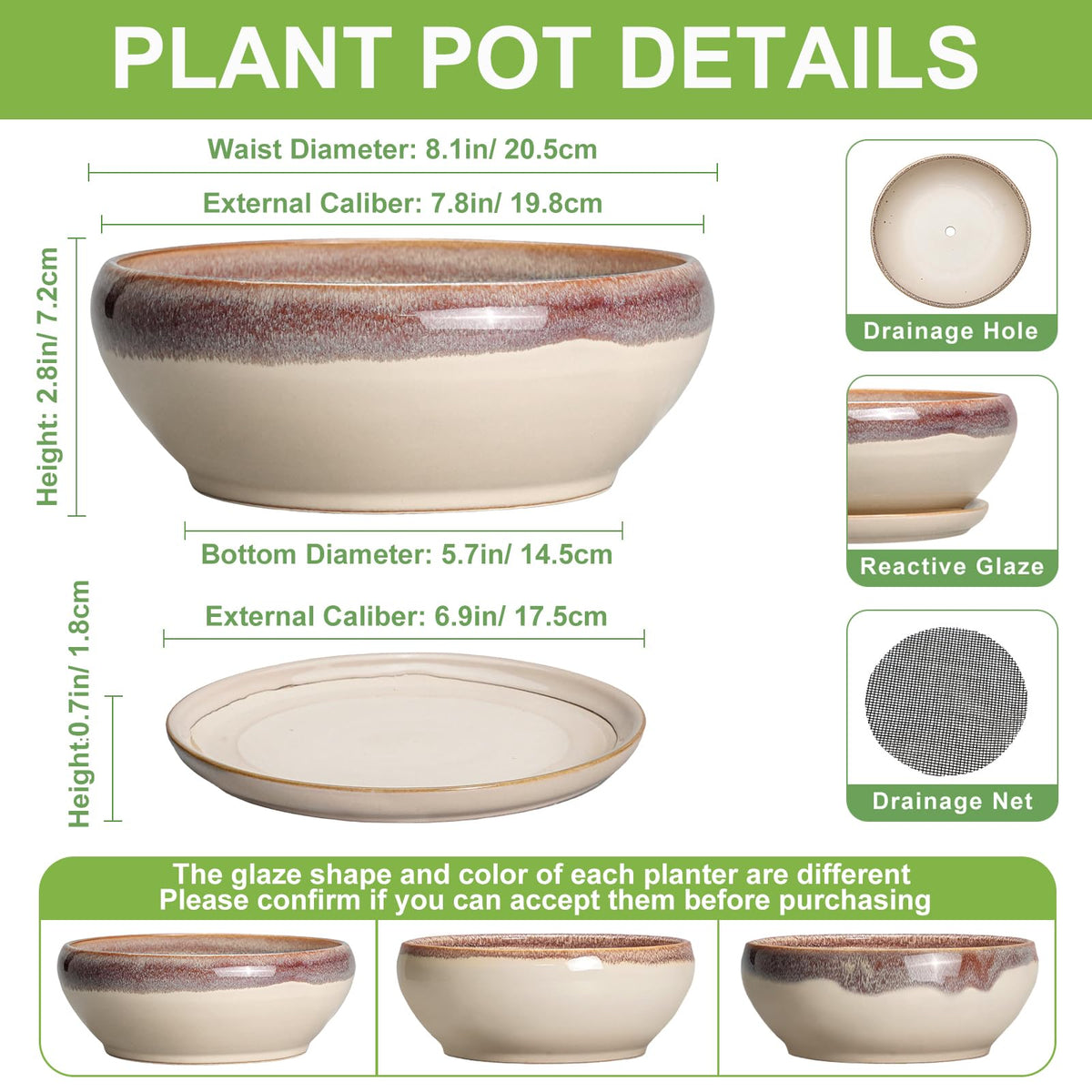 SQOWL 8inch pot with drainage hole promotes healthy root growth
