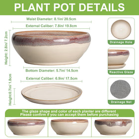 SQOWL 8inch pot with drainage hole promotes healthy root growth
