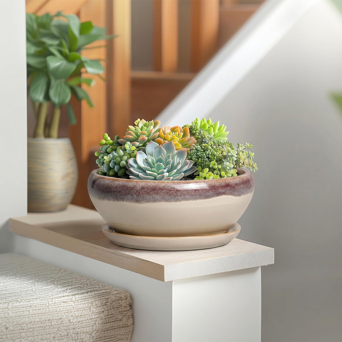 SQOWL beige glaze pot adds subtle elegance to home decor