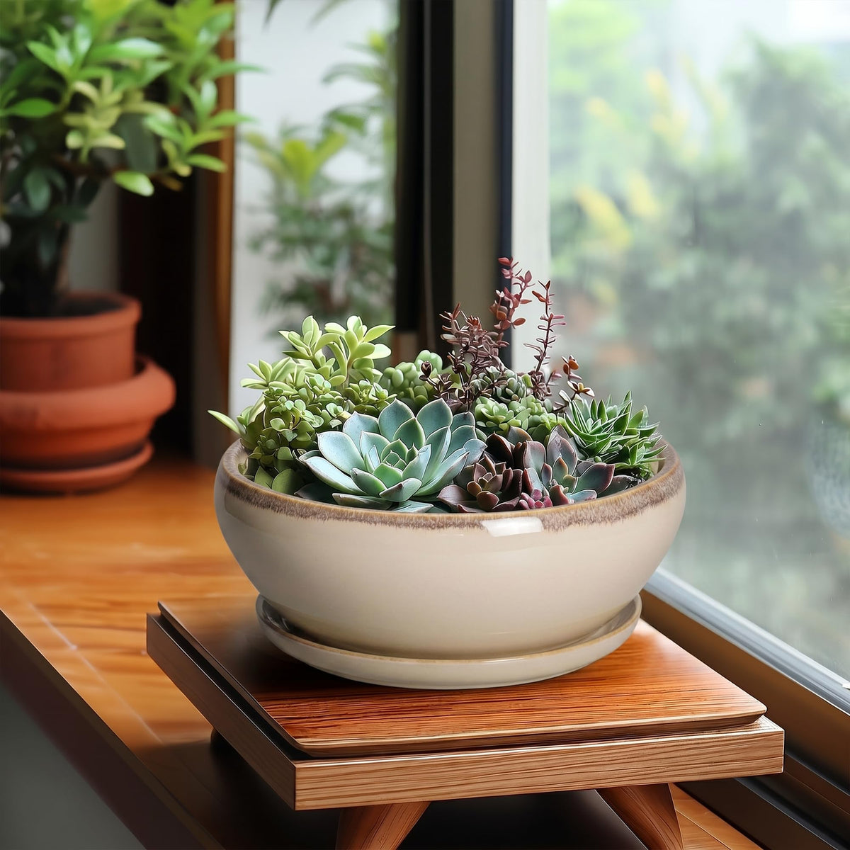 SQOWL ceramic saucer included under the pot for moisture control