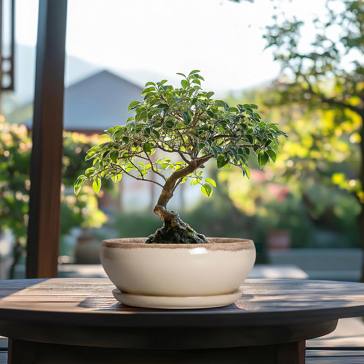 SQOWL durable ceramic pot resists cracking and fading over time