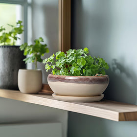 SQOWL glazed ceramic bonsai pot with easy-clean glossy finish