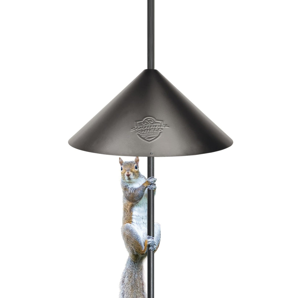 Squirrel Shield 18-inch baffle front view protecting seed while birds feed