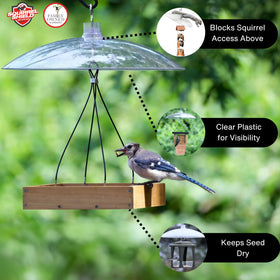 Squirrel Shield pole-mount setup attached to a feeder in use.