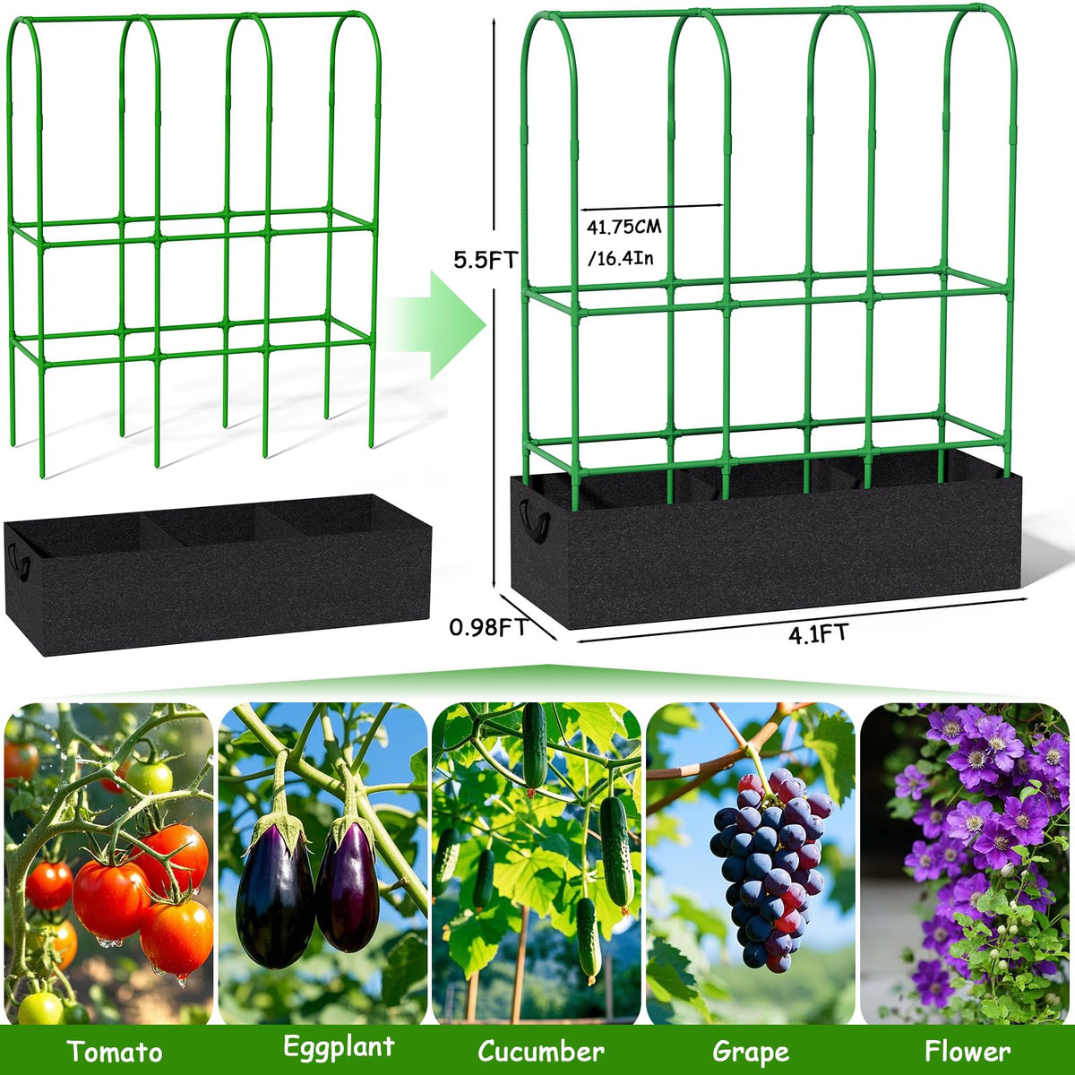 Srapwati rod-and-connector set enables customizable trellis setup.