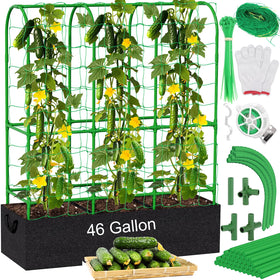 Srapwati cucumber trellis with U-frame offers sturdy vertical support for climbing plants.