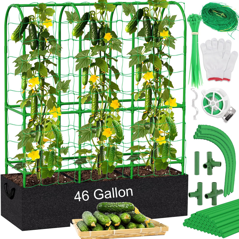 Srapwati cucumber trellis with U-frame offers sturdy vertical support for climbing plants.