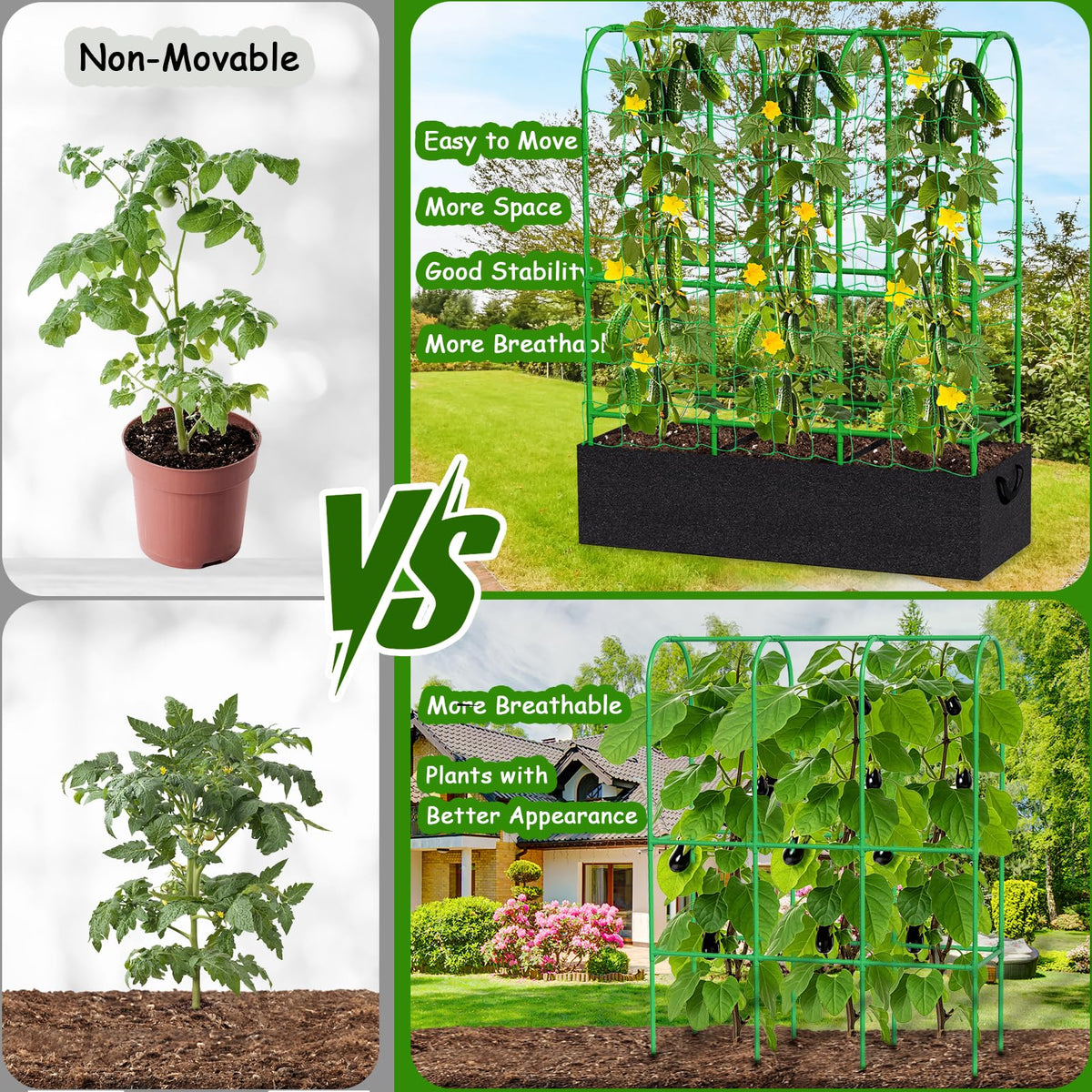 Srapwati garden netting provides reliable overhead support for vertical growth.