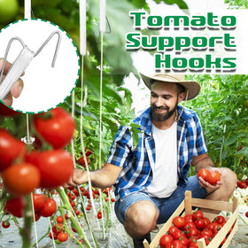 Srmayyi garden trellis setup fits tomatoes, grapes, pumpkins, and other vines.