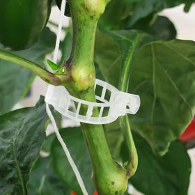 Srmayyi trellis kit suits tomatoes, grapes, pumpkins for steady growth.