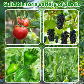 Srmayyi 15-meter rope enables versatile vertical vine layouts.