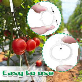Srmayyi tomato holder hook keeps stems upright and evenly supported.