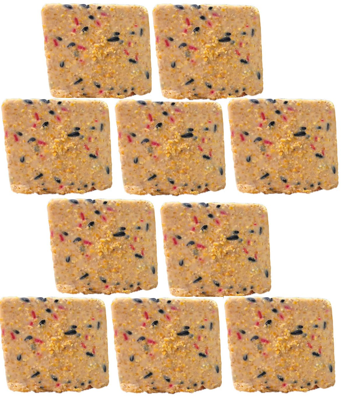 ST. ALBANS BAY SUET PLUS berry suet cakes pack offers ten 11 oz servings for birds
