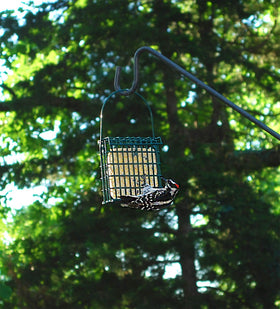 ST. ALBANS BAY SUET PLUS attracts tree-clinging and perching birds at feeders