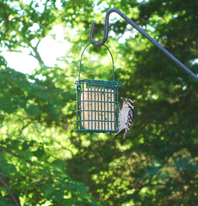 ST. ALBANS BAY SUET PLUS garden feeding with high-energy nutrition for birds