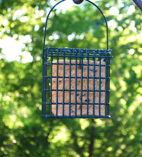 ST. ALBANS BAY SUET PLUS made in USA ensures quality ingredients for backyard feeding